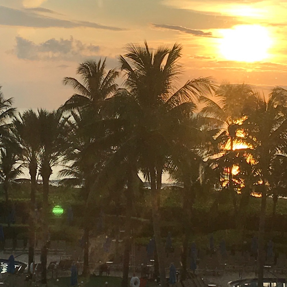 Meet your Posher, Daria